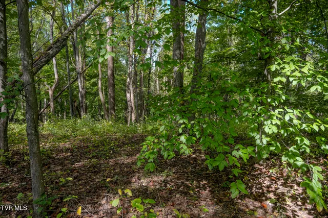 $30,000 | Lot 68 Wood Land Circle, Unit 68, Lebanon, VA 24266