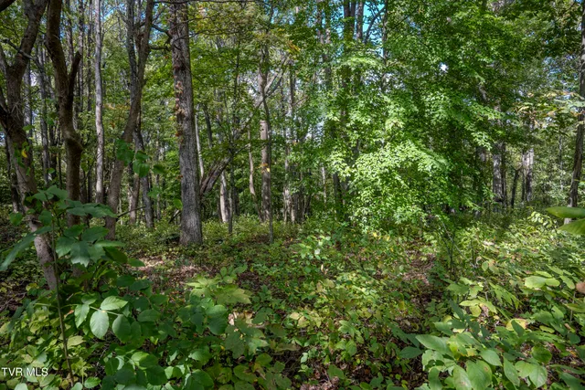 $30,000 | Lot 68 Wood Land Circle, Unit 68, Lebanon, VA 24266