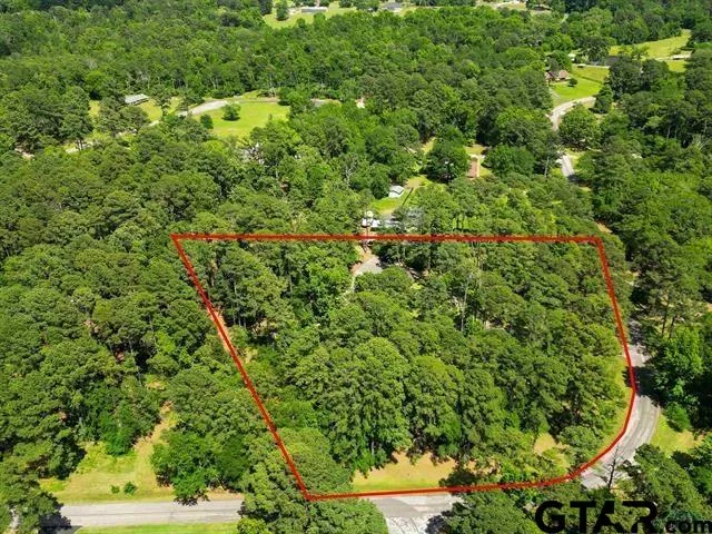 a view of a lush green forest with lots of trees