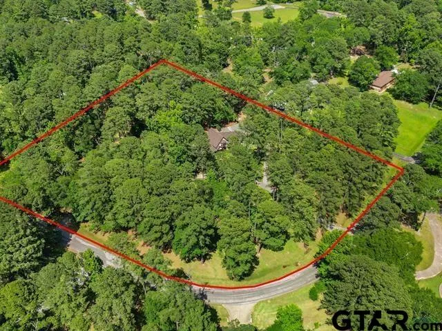 an aerial view of a residential houses with outdoor space and trees