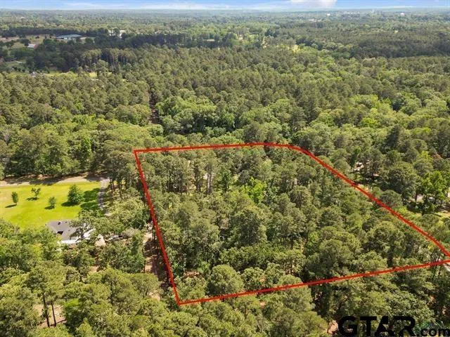 a view of a city with green field