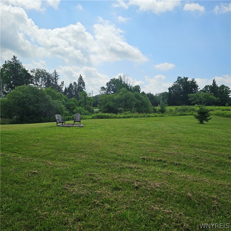10248 Clarksburg Road North Collins, NY 14057 - Photo 23 of 35