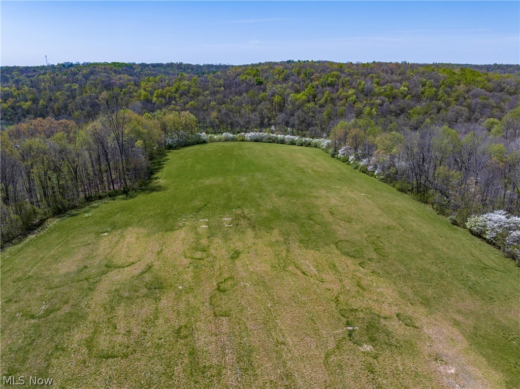 Bagley Rd Mount Mount Perry, OH 43760 - Photo 9 of 13