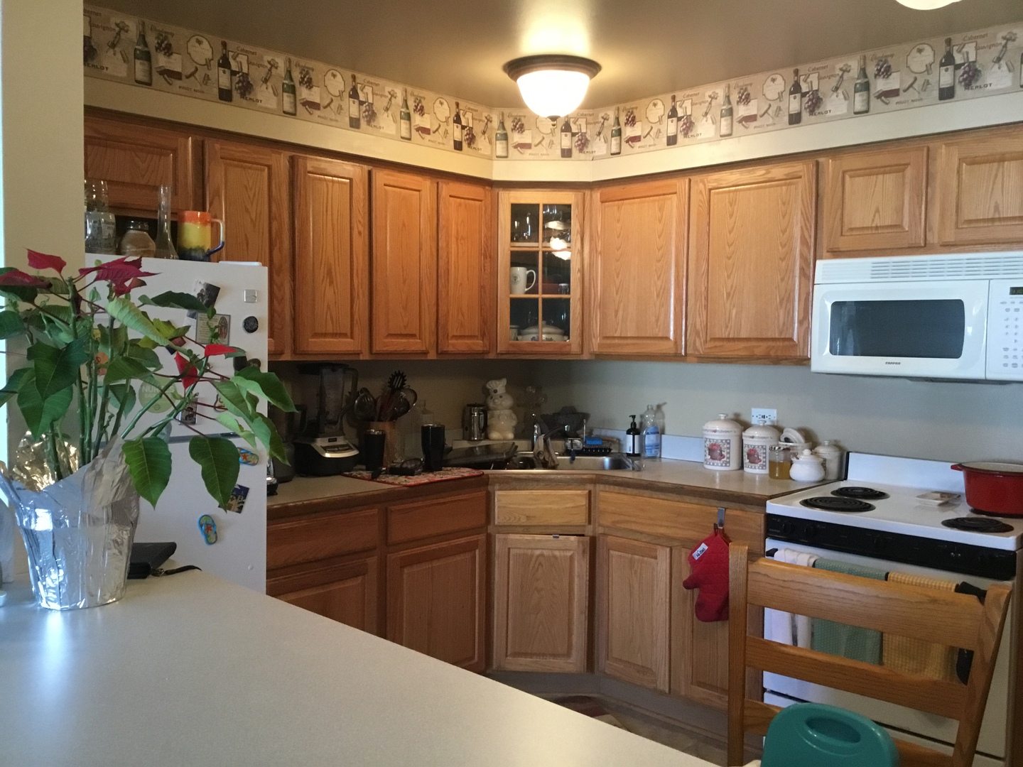 1115 Shagbark Road, Unit 2B New Lenox, IL 60451 - Photo 5 of 19 a kitchen with stainless steel appliances granite countertop a stove a sink dishwasher and cabinets with wooden floor