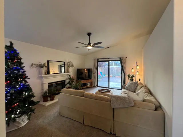 a living room with furniture window and a potted plant
