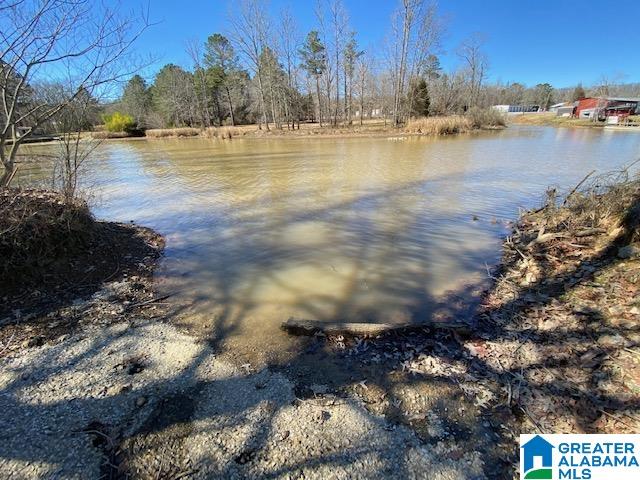 475 Crawfish Lane Ragland, AL 35131 - Photo 7 of 24