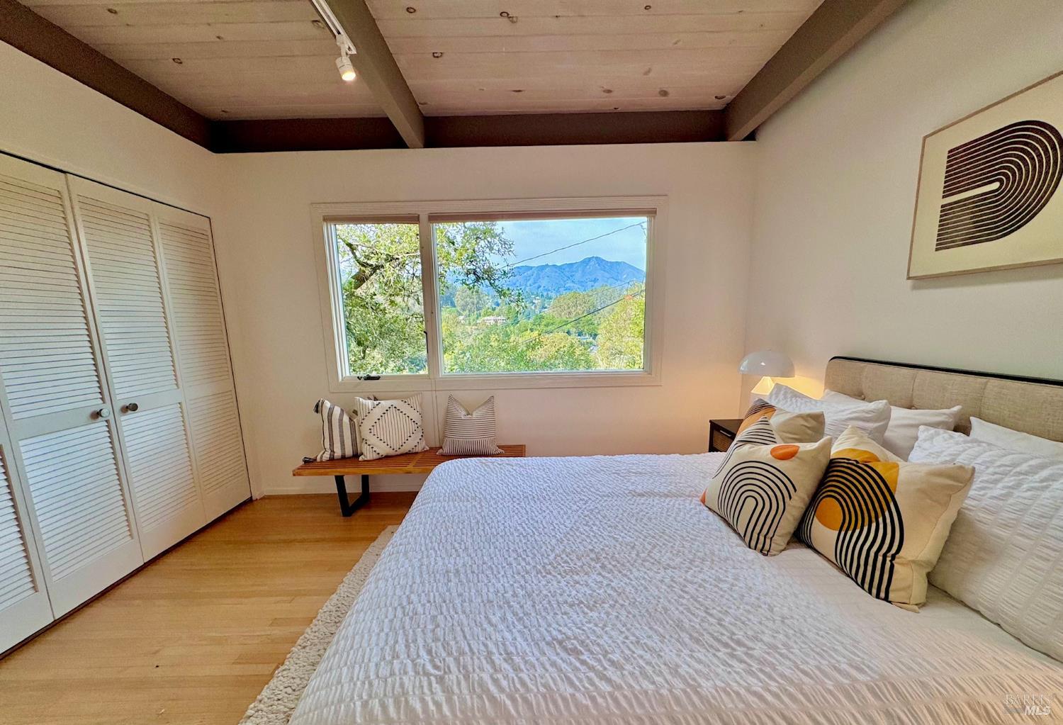 316 Rydal Avenue Mill Valley, CA 94941 - Photo 29 of 45