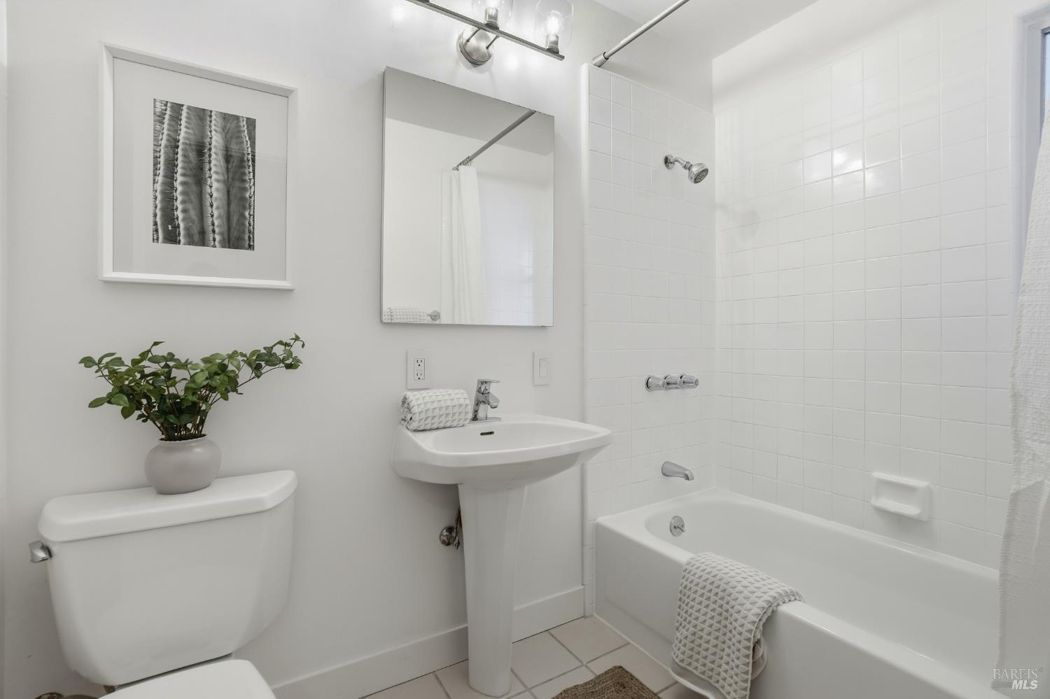 316 Rydal Avenue Mill Valley, CA 94941 - Photo 36 of 45