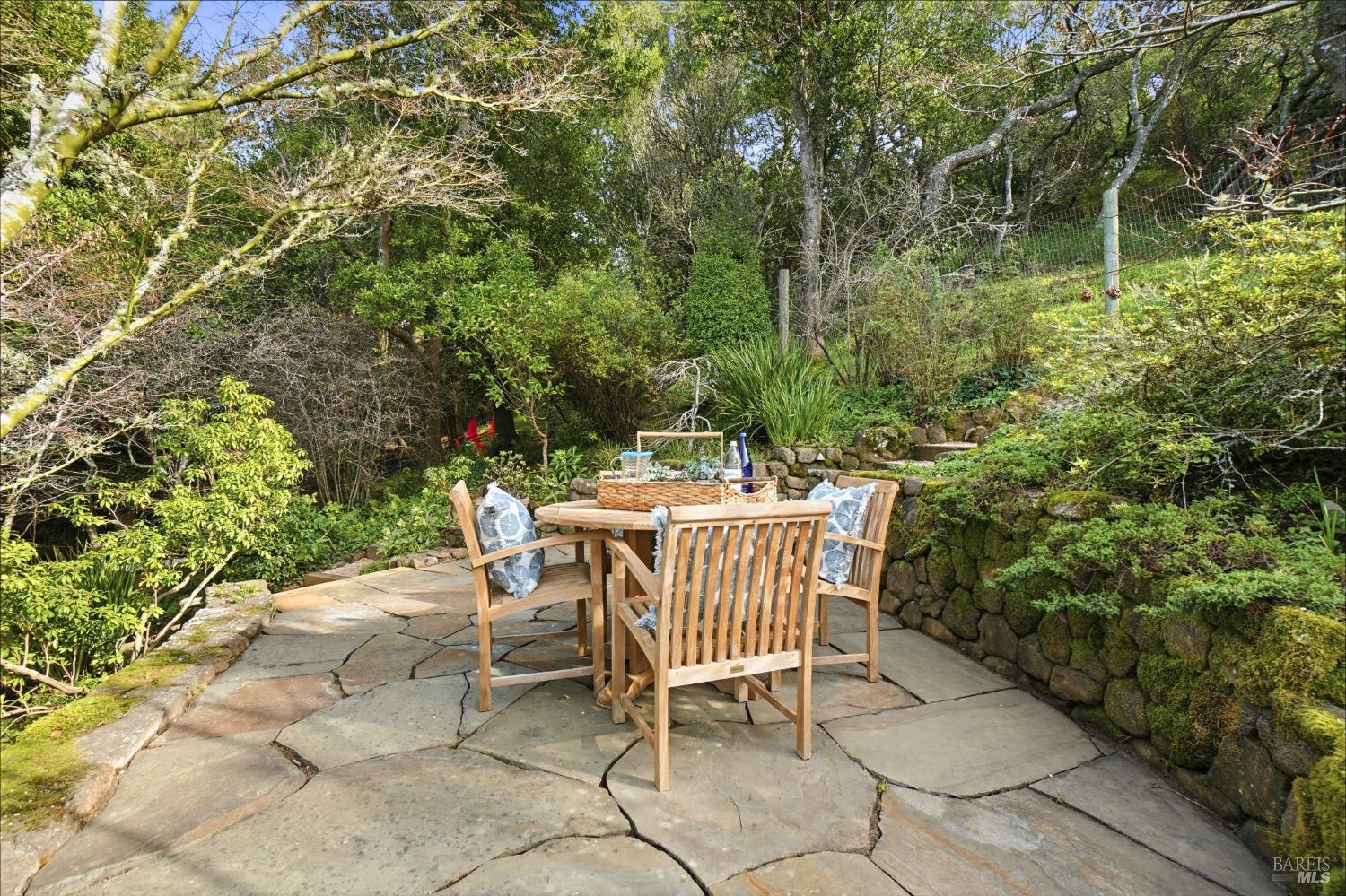 316 Rydal Avenue Mill Valley, CA 94941 - Photo 38 of 45