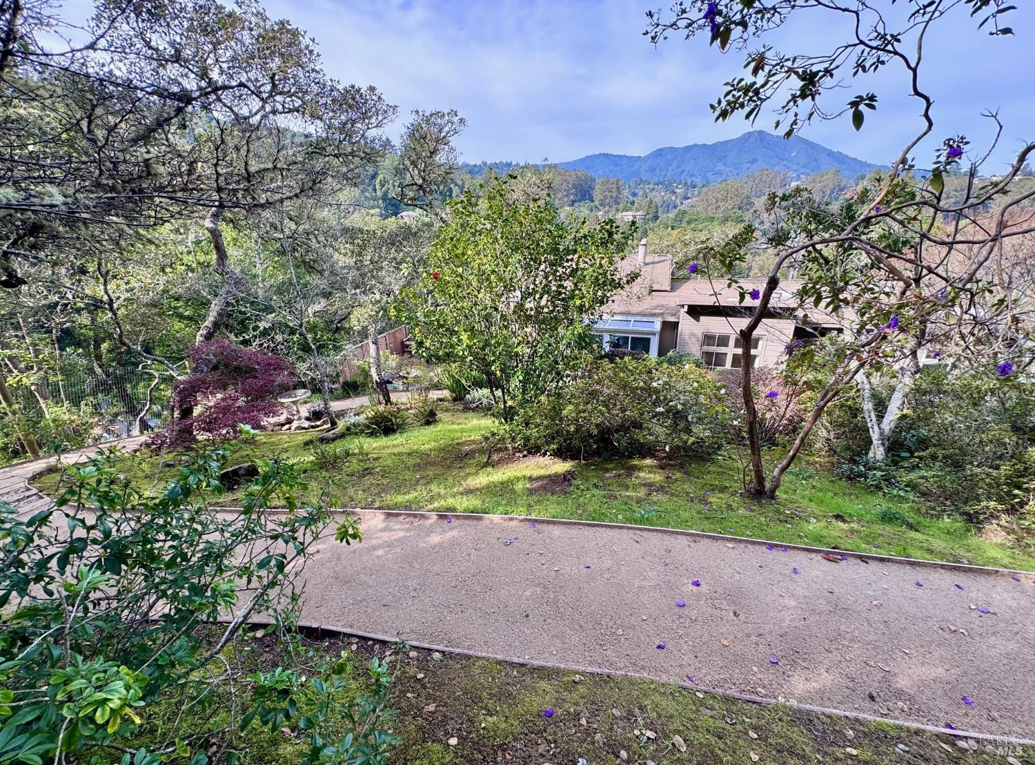 316 Rydal Avenue Mill Valley, CA 94941 - Photo 41 of 45