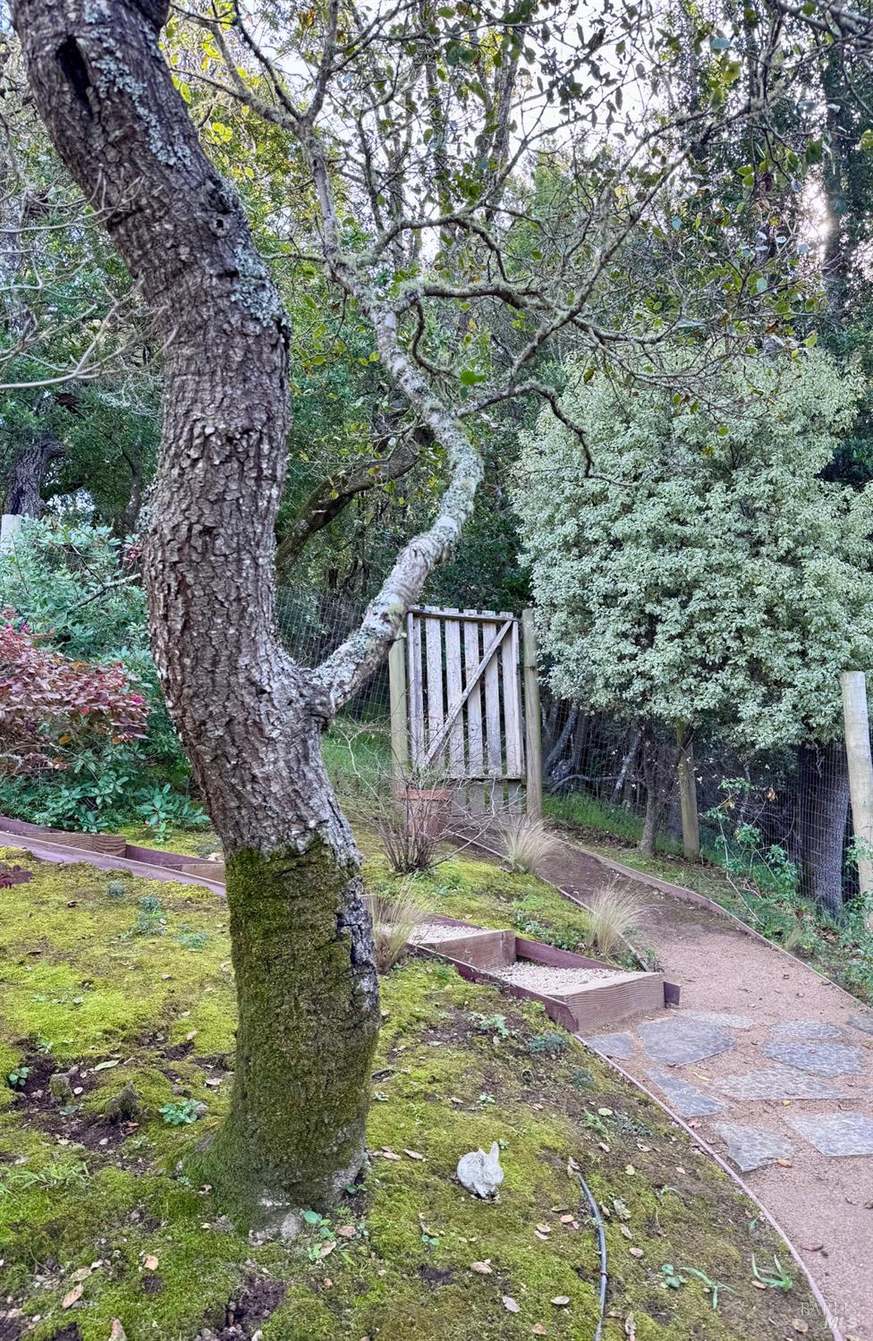 316 Rydal Avenue Mill Valley, CA 94941 - Photo 43 of 45