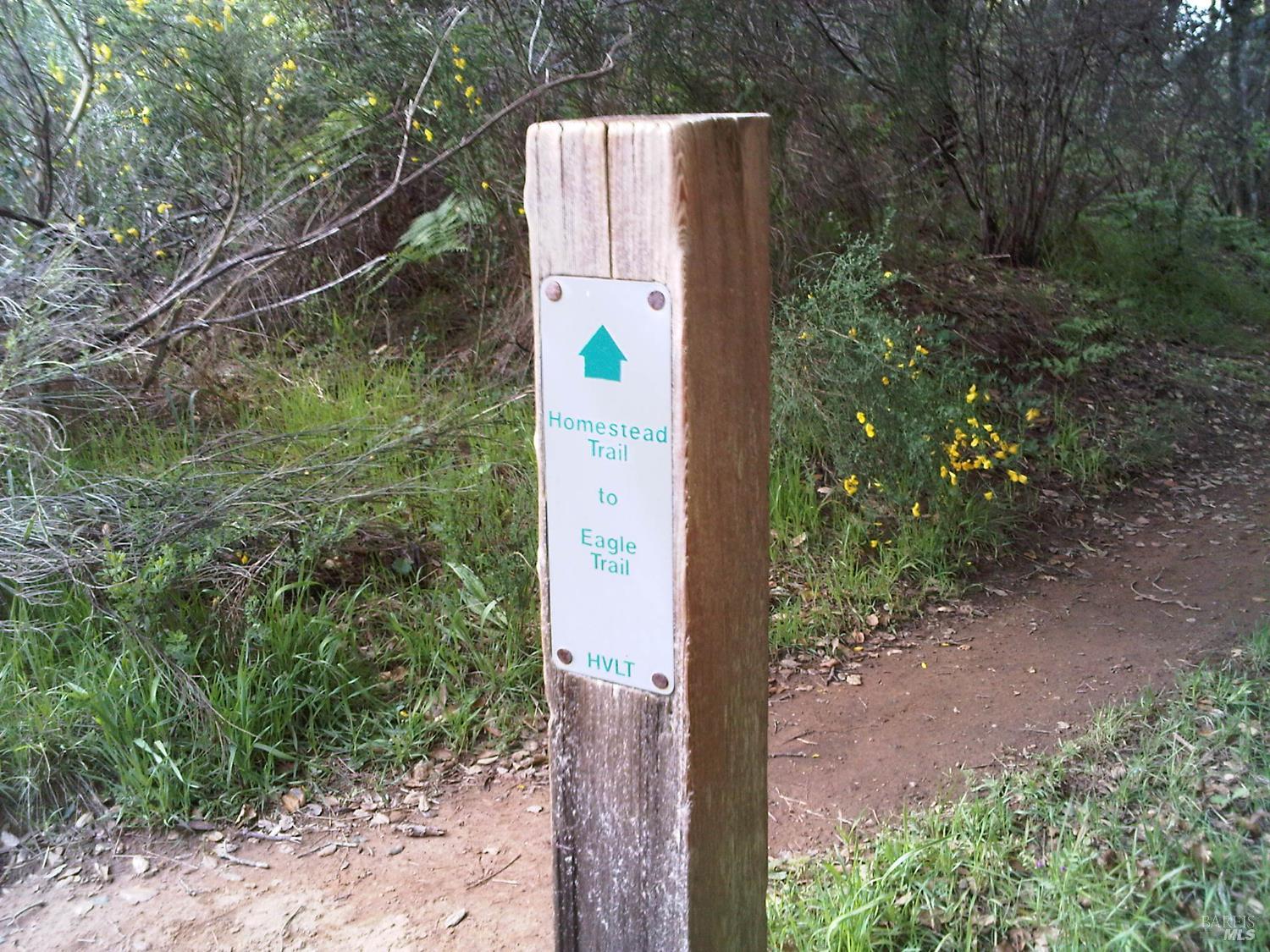 316 Rydal Avenue Mill Valley, CA 94941 - Photo 44 of 45