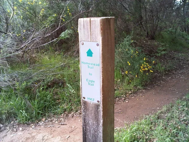 a aerial view of a house with a yard and plants