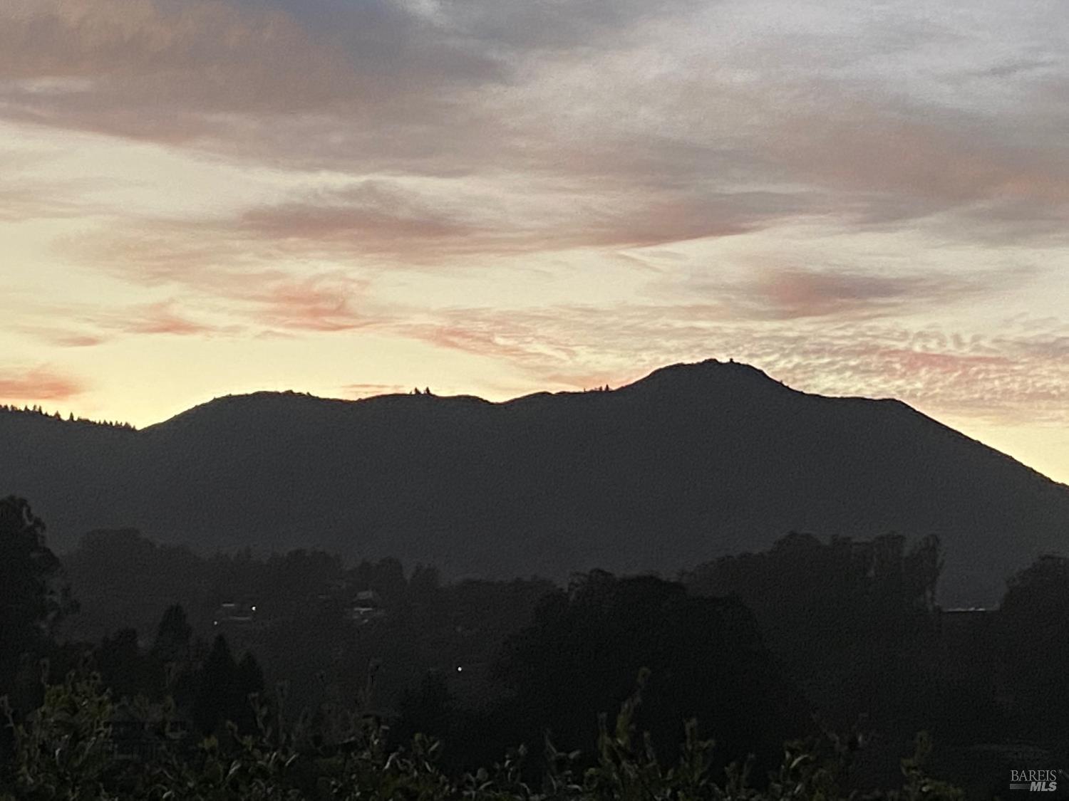 316 Rydal Avenue Mill Valley, CA 94941 - Photo 45 of 45