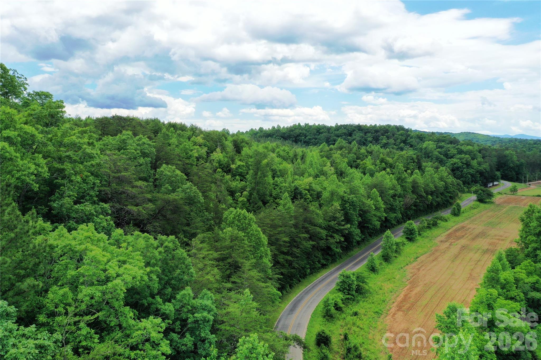 0 Herman Wilson Road Lake Lure, NC 28746 - Photo 10 of 22