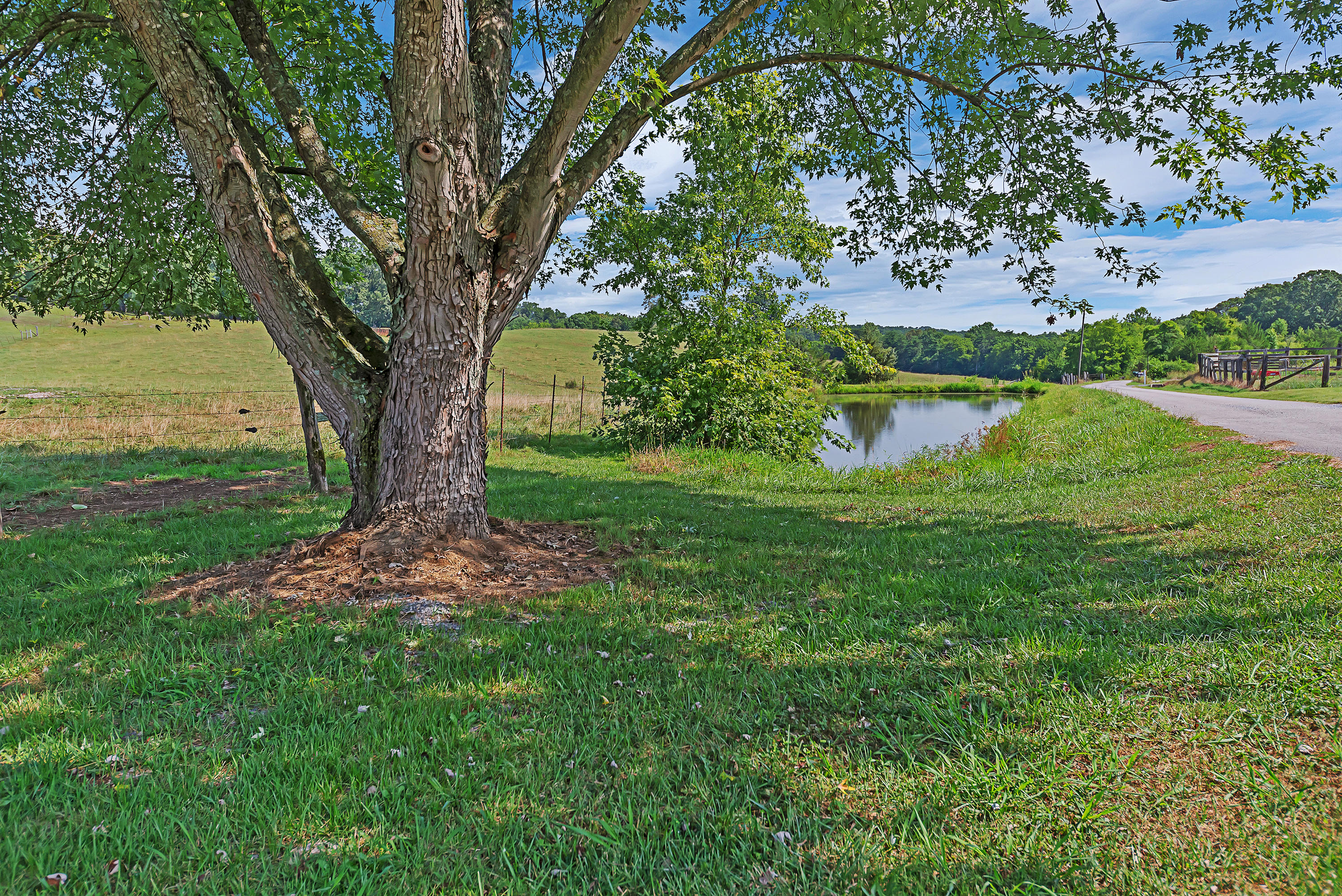 2570 Black Road Greenback, TN 37742 - Photo 35 of 35 Community Pond