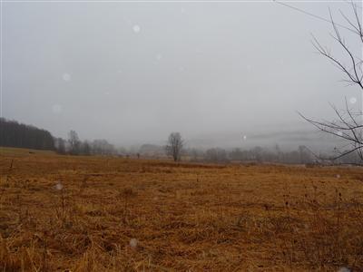 0 Bunn Hill Road Mount Vision, NY 13810 - Photo 1 of 1 Gallery Image 1