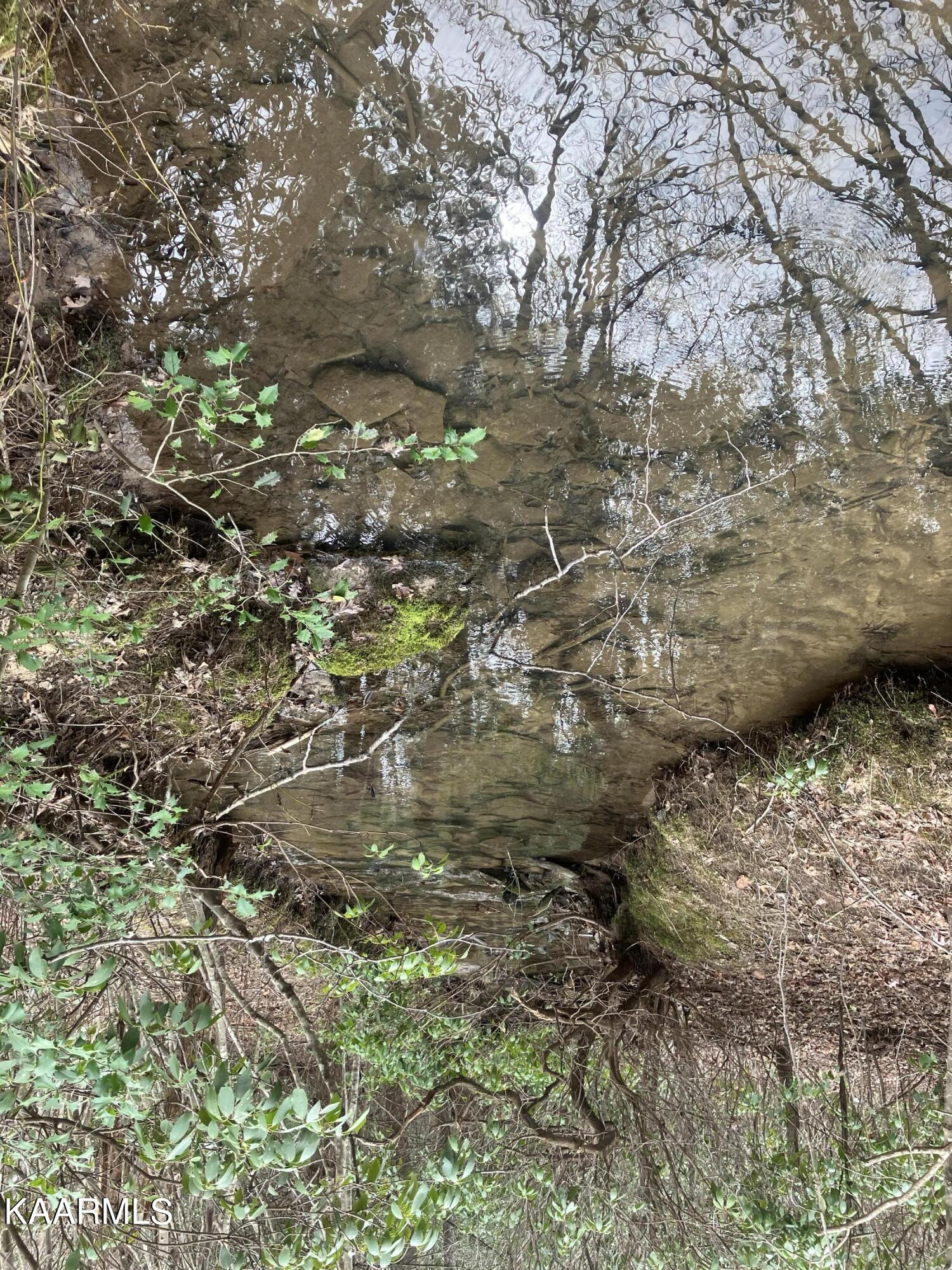 Valerie Road Deer Lodge, TN 37726 - Photo 3 of 3 IMG_5165