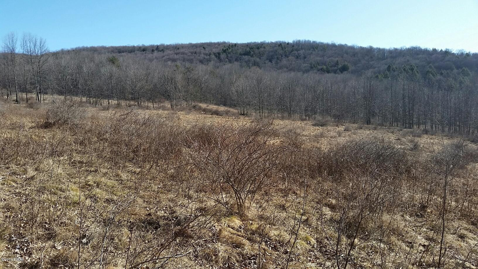 1297 Red Abbott Road Union Dale, PA 18470 - Photo 8 of 11
