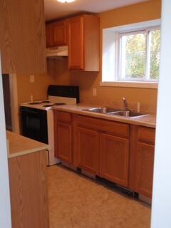 723 22nd Street Jackson, MI 49203 - Photo 17 of 38 P9290998