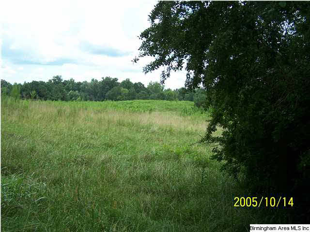 281 Timmerman Road Blountsville, AL 35031 - Photo 3 of 9