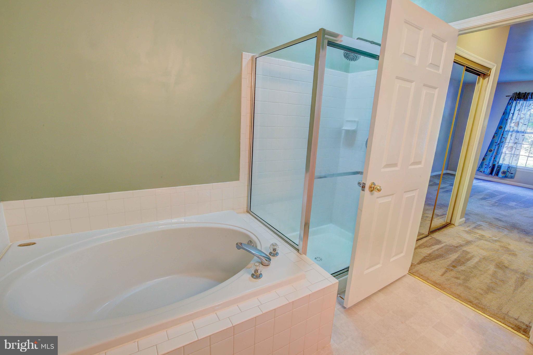 32 Hawk Rise Lane, Unit 102 Owings Mills, MD 21117 - Photo 24 of 34 Master Bathroom- soaking tub and shower
