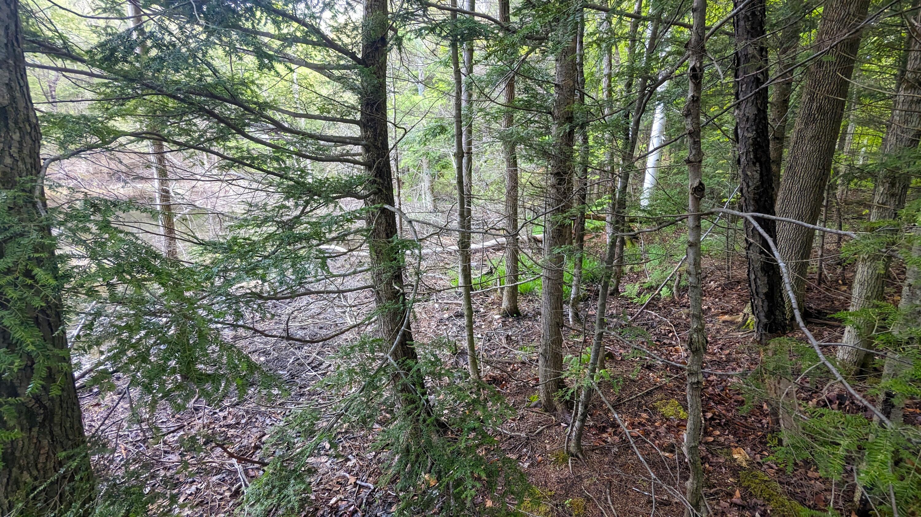 118 Sherman Lake Road Crown Point, NY 12928 - Photo 36 of 50 pWalk to Lake5