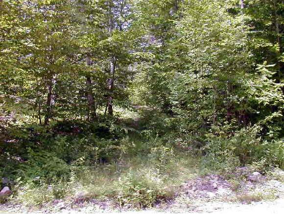 21 Jewell Road Wilmot, NH 03287 - Photo 1 of 2 Gallery Image 1