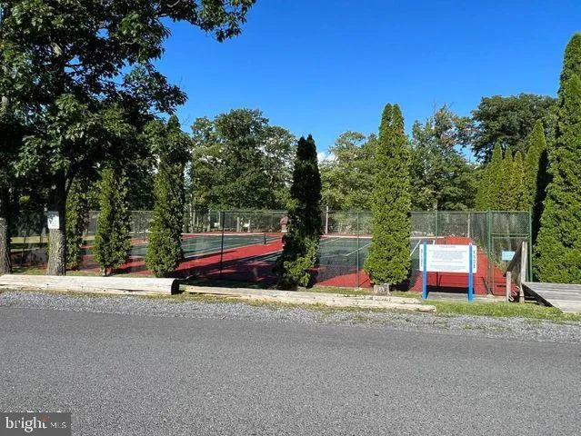 a view of a swimming pool with a yard