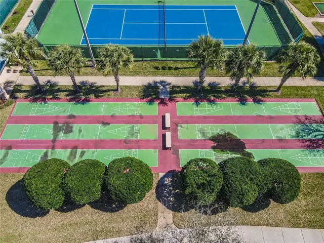 a view of a bunch of flowers and trees