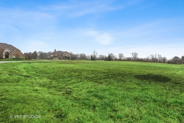 a view of a grassy field with an trees