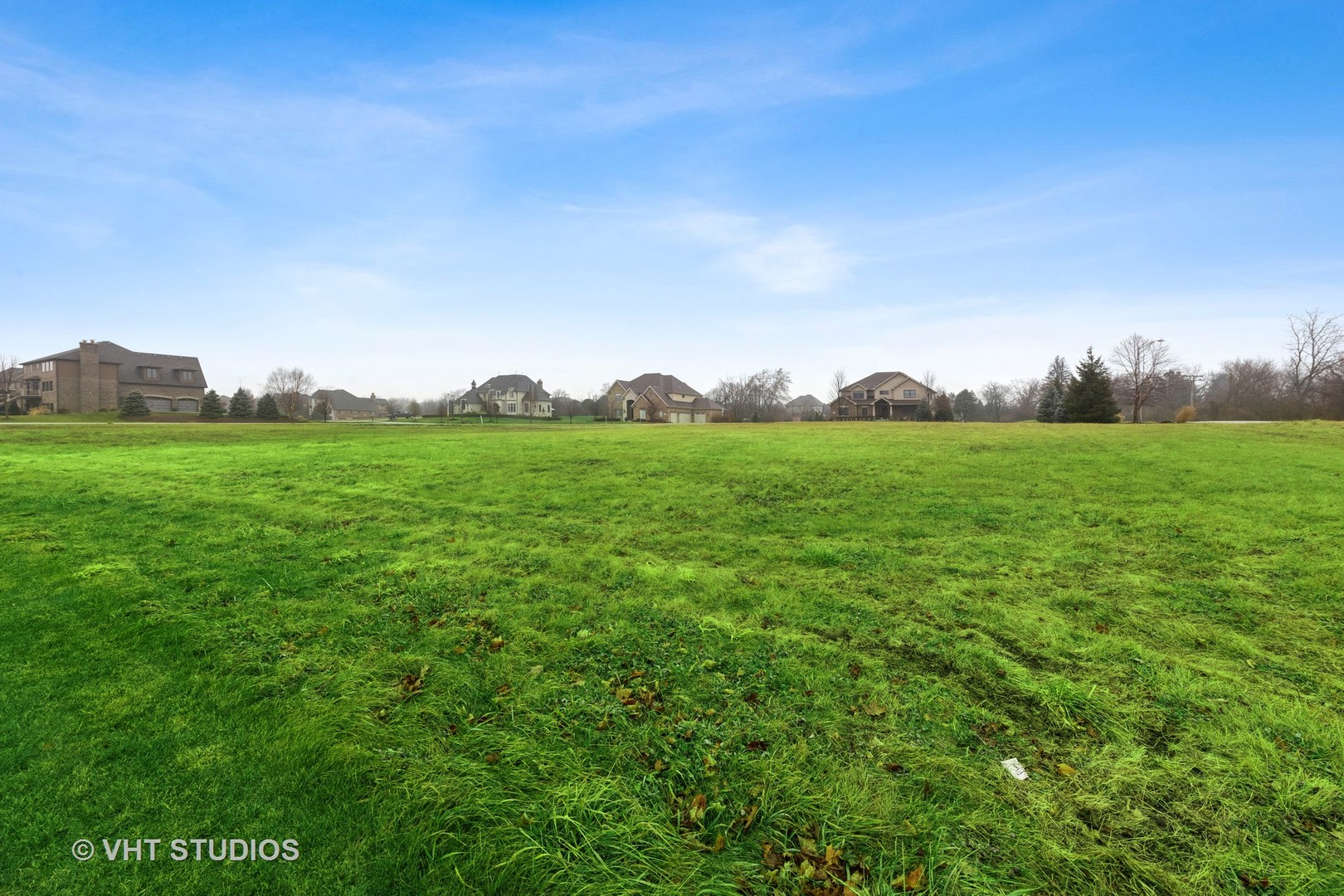 18345 South Pineprairie Drive Mokena, IL 60448 - Photo 7 of 8 a view of a field with plants and large trees
