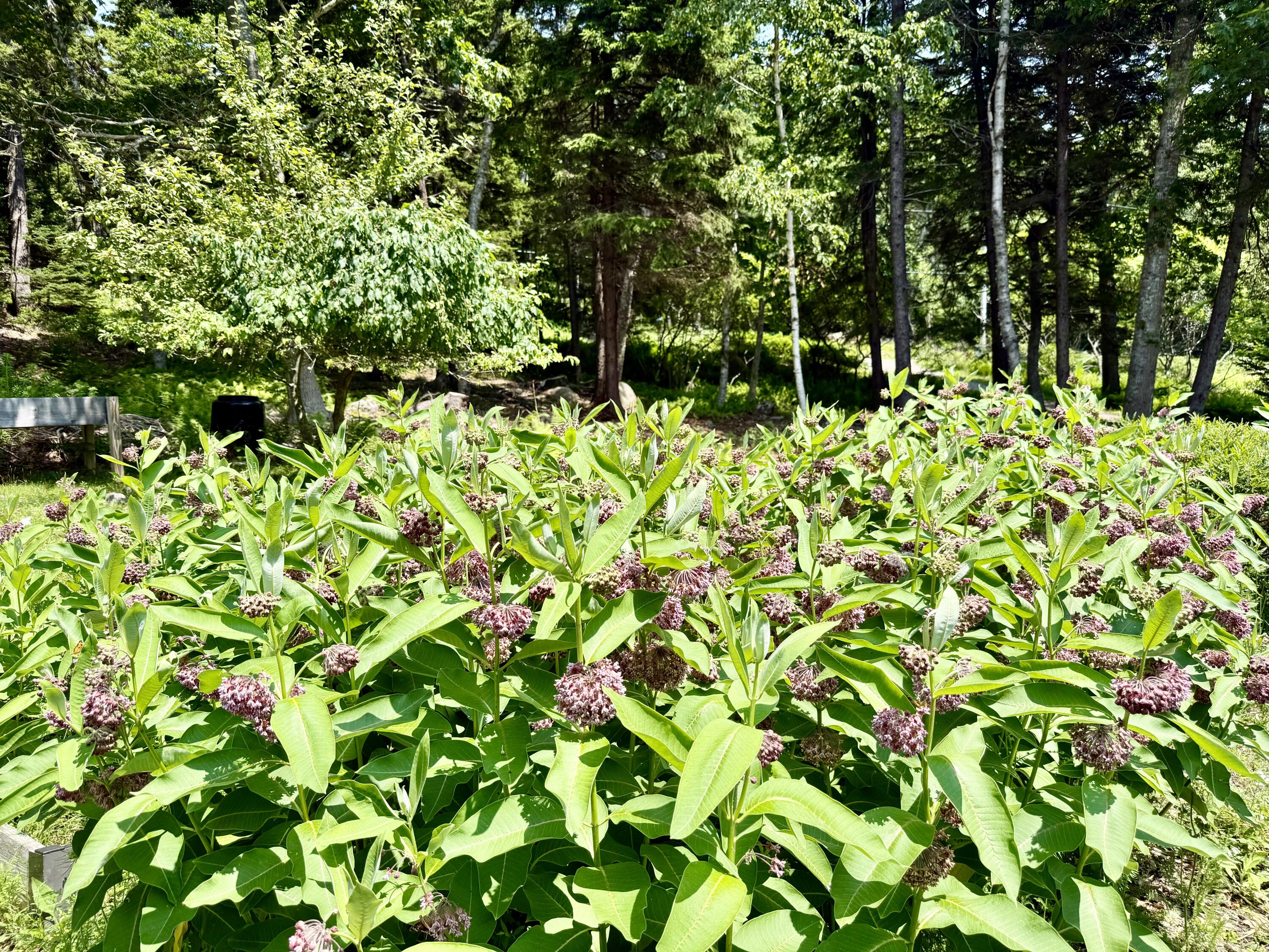 286 Calderwood Neck Road Vinalhaven, ME 04863 - Photo 35 of 47 IMG_2030