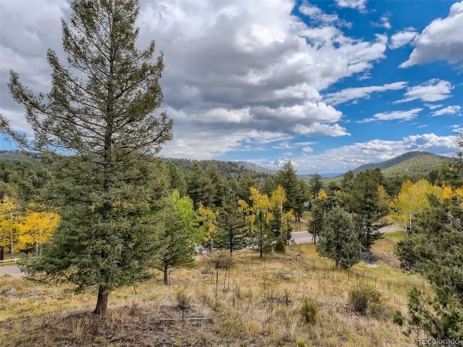 13203 South Wamblee Valley Road Conifer, CO 80433 - Photo 28 of 30 Gallery Image 28