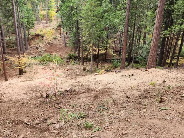 a view of a backyard of the house