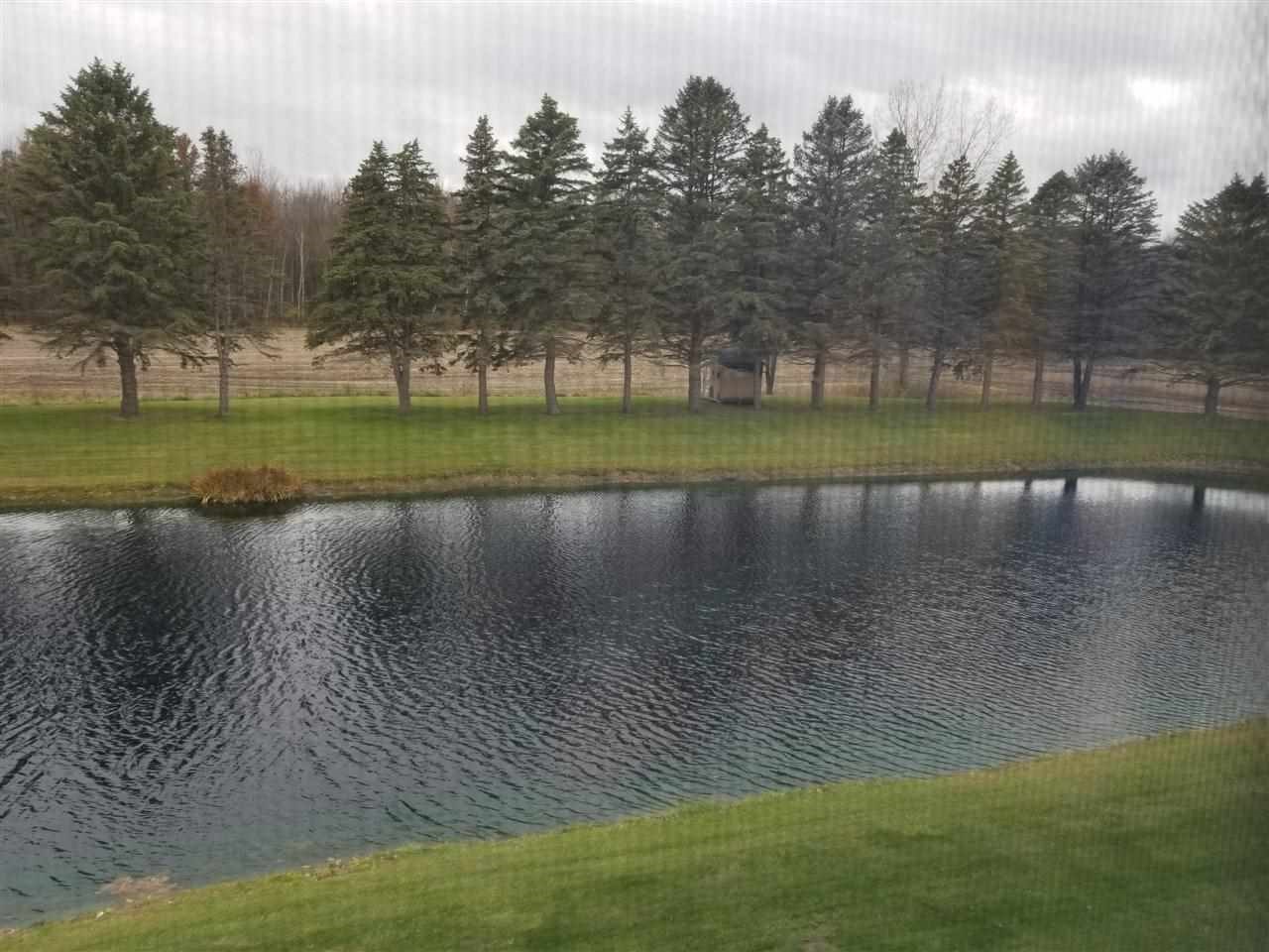 8335 Farrand Road Montrose, MI 48457 - Photo 34 of 40 21525901-34.JPG
