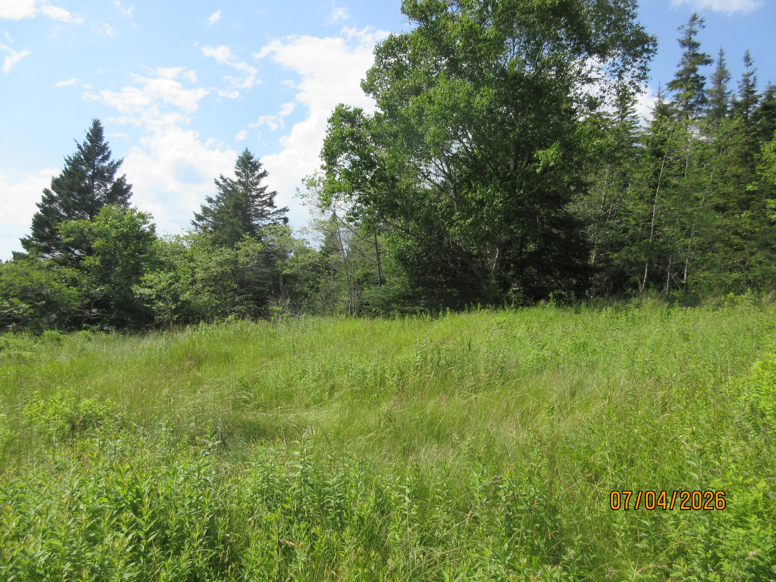 Lot 1 Smalls Point Road Machiasport, ME 04655 - Photo 8 of 11 Property