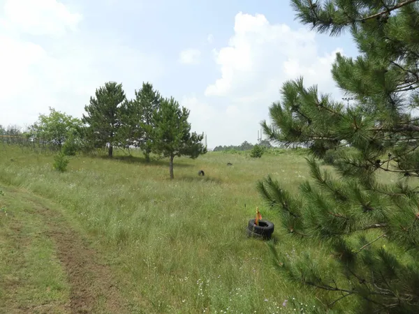 $25,000 | Xxxx Moon Drive, Iron River, WI 54847