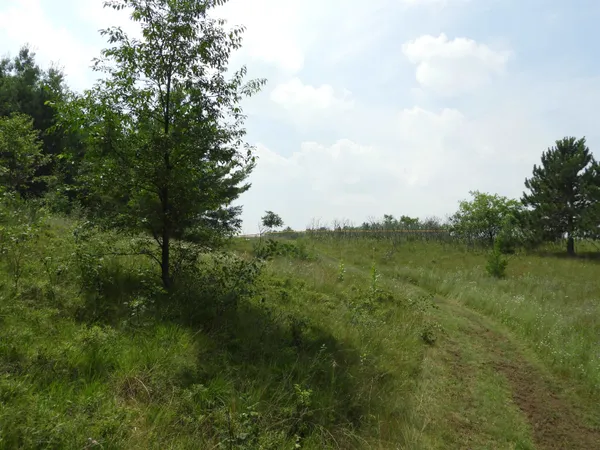 $25,000 | Xxxx Moon Drive, Iron River, WI 54847