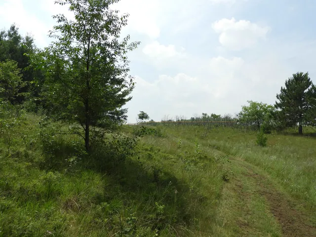 $25,000 | Xxxx Moon Drive, Iron River, WI 54847