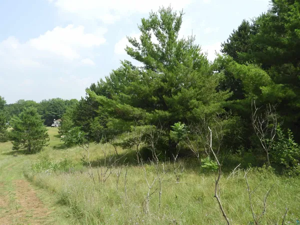 $25,000 | Xxxx Moon Drive, Iron River, WI 54847