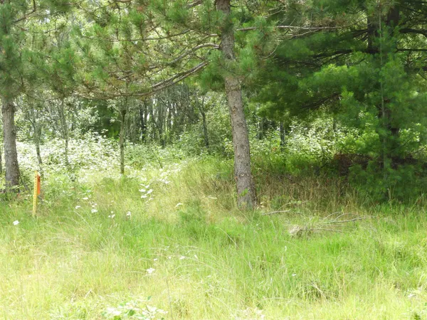 $25,000 | Xxxx Moon Drive, Iron River, WI 54847