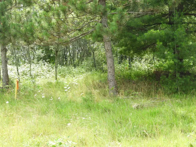 $25,000 | Xxxx Moon Drive, Iron River, WI 54847