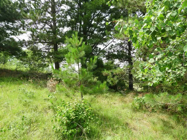 $25,000 | Xxxx Moon Drive, Iron River, WI 54847