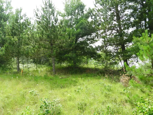 $25,000 | Xxxx Moon Drive, Iron River, WI 54847