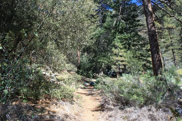 $535,000 | 2041 Symonds Drive, Pine Mountain Club, CA 93222