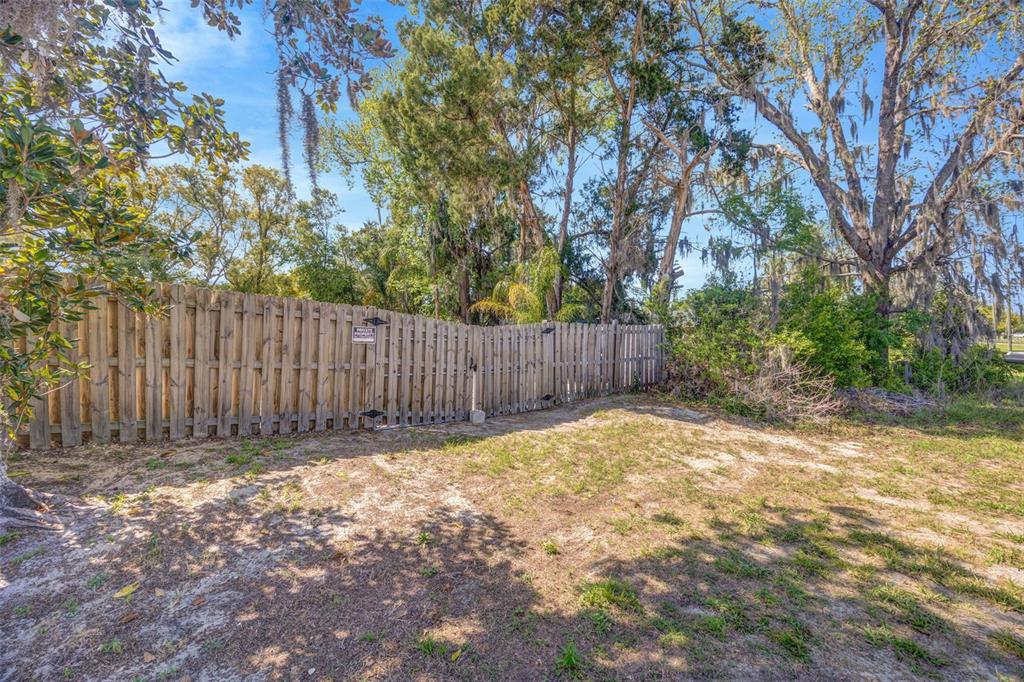 10199 Elgin Boulevard Spring Hill, FL 34608 - Photo 50 of 66 a view of a backyard with wooden fence and a large tree
