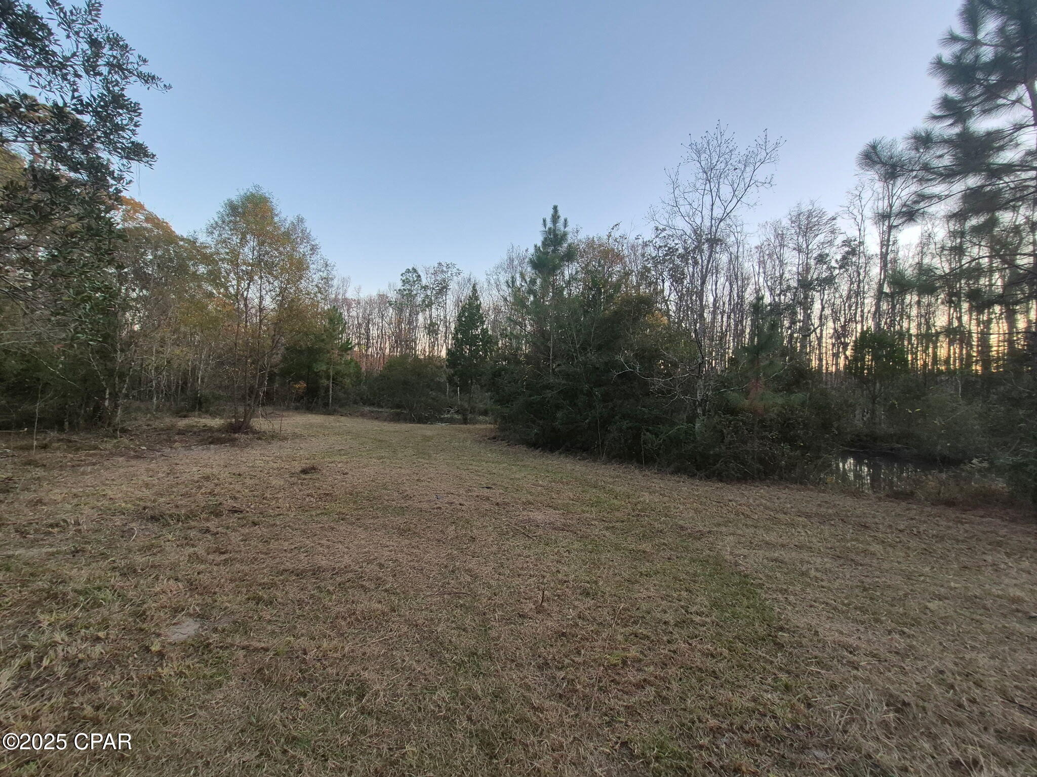 0 Windy Lewis Road Bonifay, FL 32425 - Photo 11 of 18