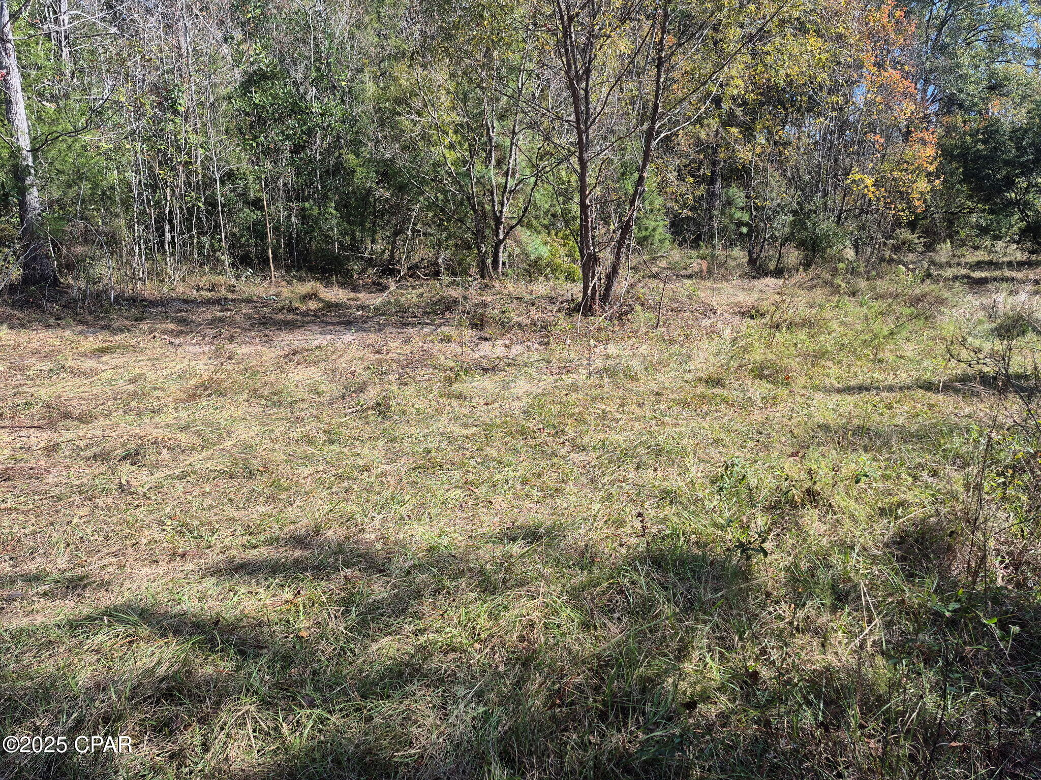 0 Windy Lewis Road Bonifay, FL 32425 - Photo 12 of 18