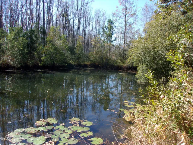 $49,900 | 0 Windy Lewis Road, Bonifay, FL 32425